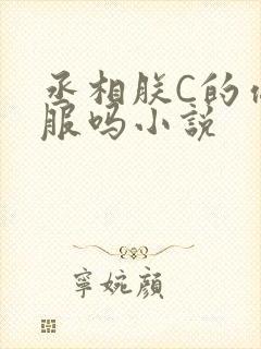 丞相朕C的你舒服吗小说