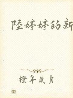 陆婷婷的新故事