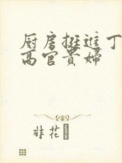 厨房挺进丁字裤高官贵妇