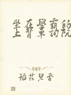 坐在学霸的棍子上背单词阮梅