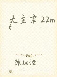 大主宰 22mt