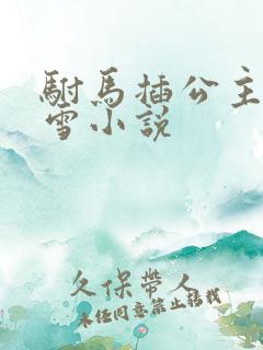 驸马插公主恋战雪小说