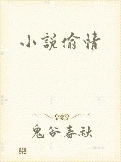小说偷情