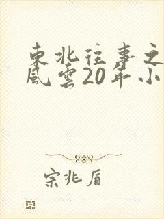 东北往事之黑道风云20年小说