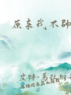 原来我不帅小说