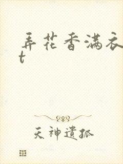 弄花香满衣txt