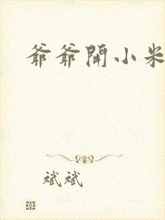 爷爷开小米的处