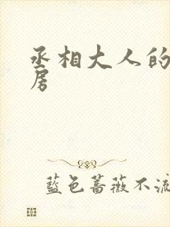 丞相大人的小通房