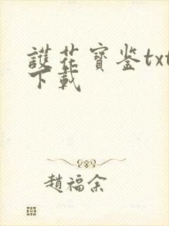 护花宝鉴txt下载