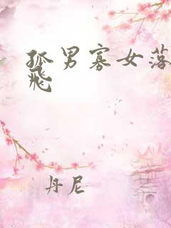 孤男寡女落瑛纷飞