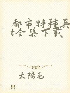 都市特种兵txt全集下载