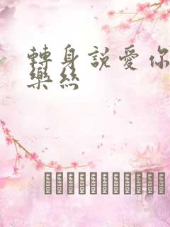 转身说爱你 白乐丝