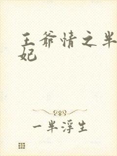 王爷情之半面王妃