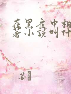 在黑夜中相拥原著小说叫什么