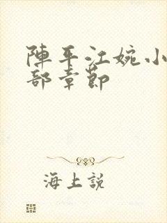 阵平江婉小说全部章节