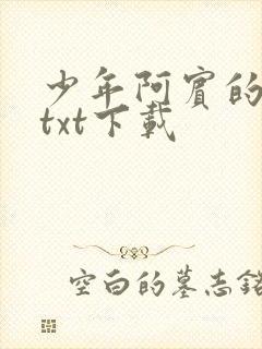 少年阿宾的故事txt下载