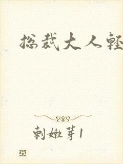 总裁大人轻一点