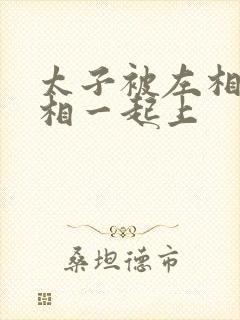 太子被左相和右相一起上