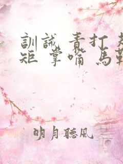 训诫 责打 规矩 掌嘴 马鞭