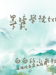 黑暗学徒txt下载