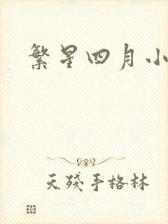 繁星四月小说