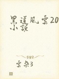 黑道风云20年小说