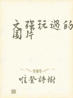 文强玩过的女人图片