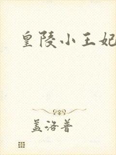 皇陵小王妃