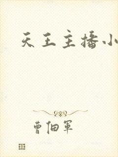 天王主播小说