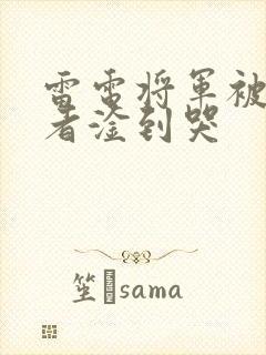 雷电将军被旅行者淦到哭