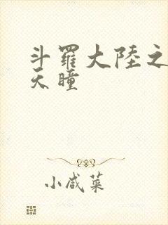 斗罗大陆之轮回天瞳