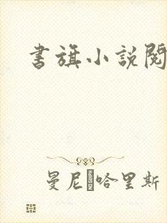 书旗小说阅读网