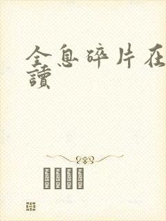 全息碎片在线阅读