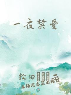 一夜禁爱