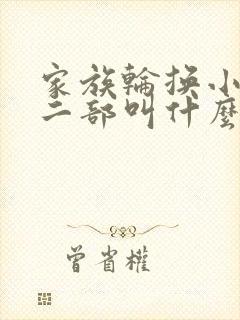家族轮换小说第二部叫什么名字