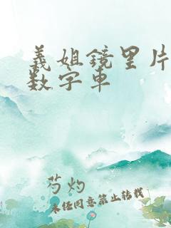 义姐镜里片微博数字车