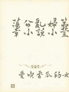 荡公乱妇第51章小说小莹