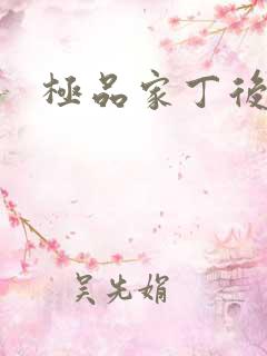 极品家丁后传