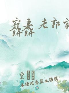 宠妻 老郭家的饼饼