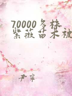 70000多株紫薇苗木被强毁