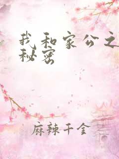 我和家公之间的秘密