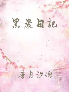 黑岩日记