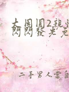 大团圆2亲情会闪闪发光免费