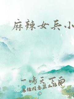 麻辣女兵小说版