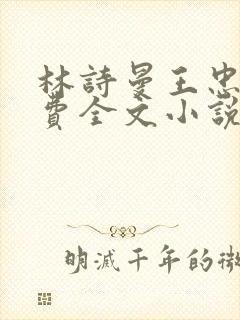 林诗曼王忠文免费全文小说的名称