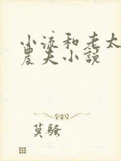 小流和老太69农夫小说