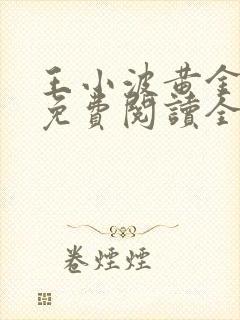 王小波黄金时代免费阅读全文