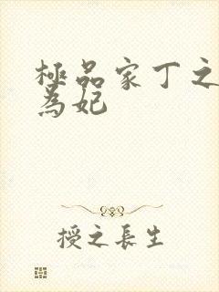 极品家丁之册母为妃