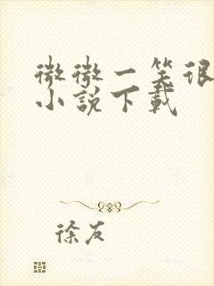 微微一笑很倾城小说下载