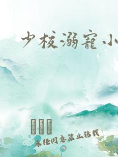 少校溺宠小小妻